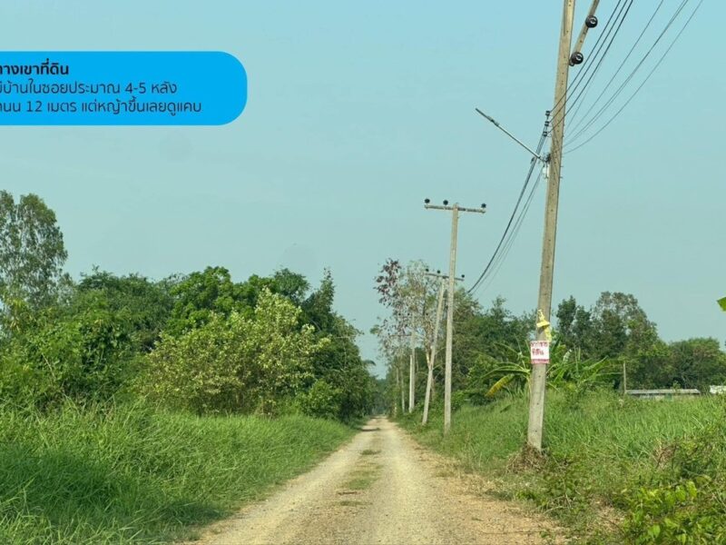 ขายที่ดินเปล่า 2 ไร่ คลองห้าตะวันตก 27/2 ปทุมธานี