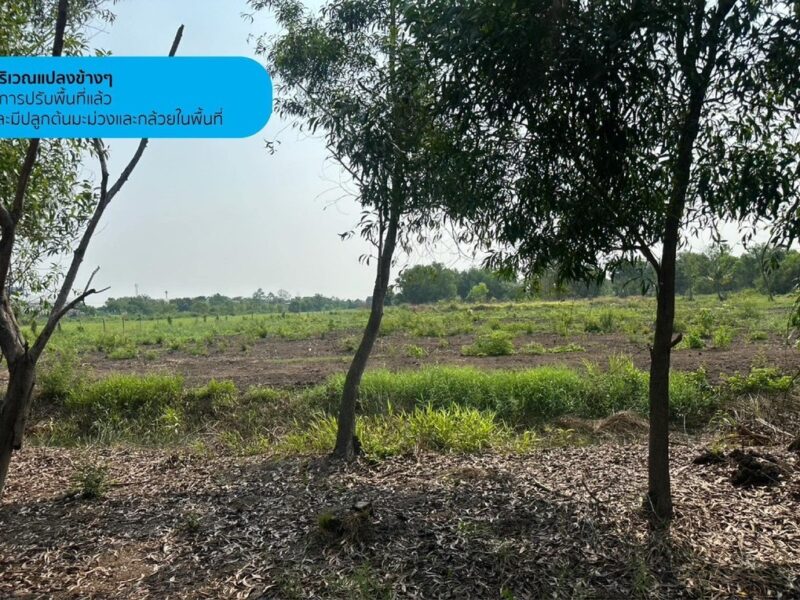 ขายที่ดินเปล่า 2 ไร่ คลองห้าตะวันตก 27/2 ปทุมธานี