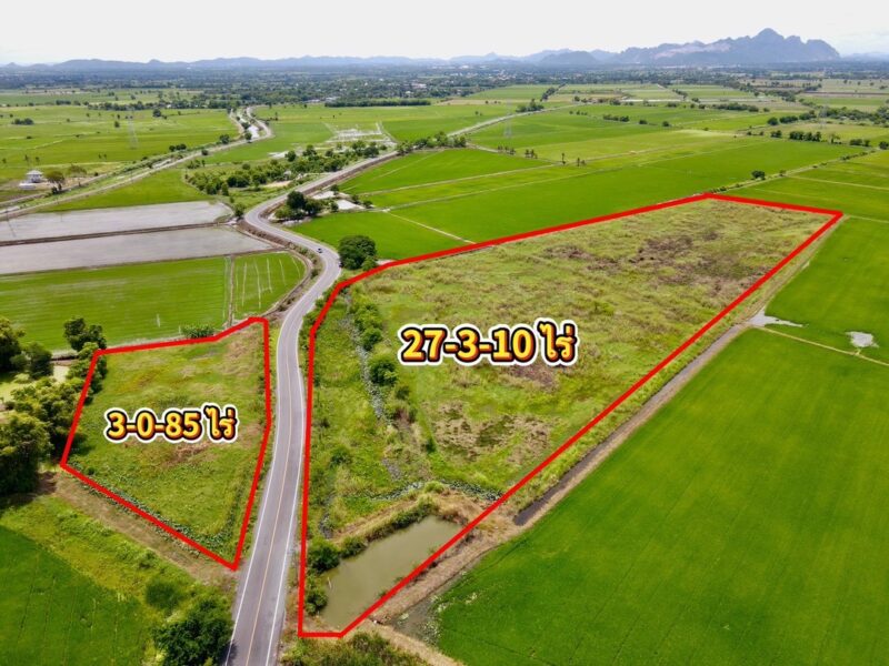 ขายที่ดินติดถนนลาดยาง แหล่งชุมชน ต.หรเทพ อ.บ้านหมอ จ.สระบุรี