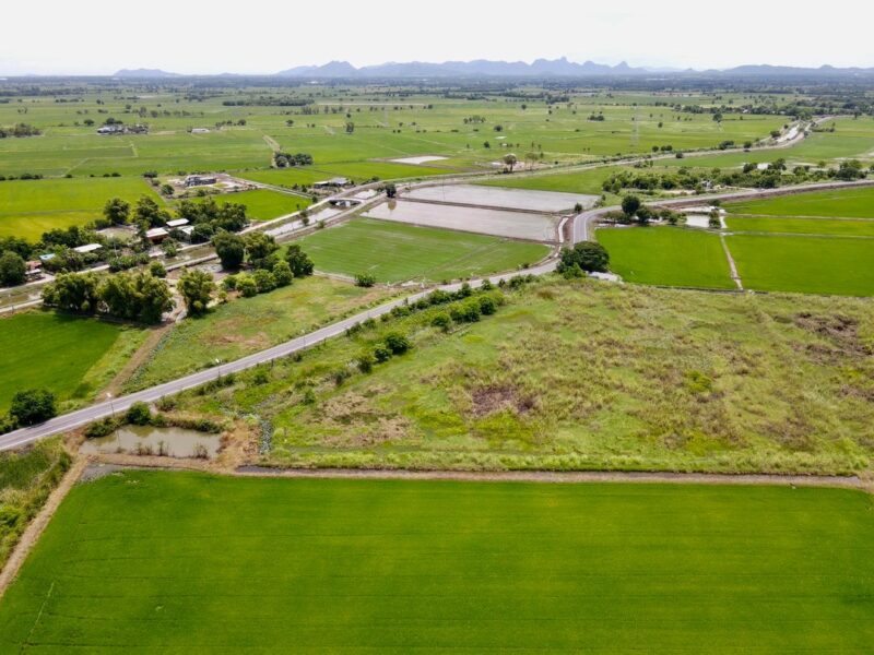 ขายที่ดินติดถนนลาดยาง แหล่งชุมชน ต.หรเทพ อ.บ้านหมอ จ.สระบุรี