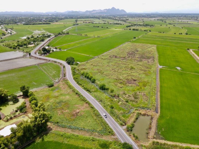 ขายที่ดินติดถนนลาดยาง แหล่งชุมชน ต.หรเทพ อ.บ้านหมอ จ.สระบุรี