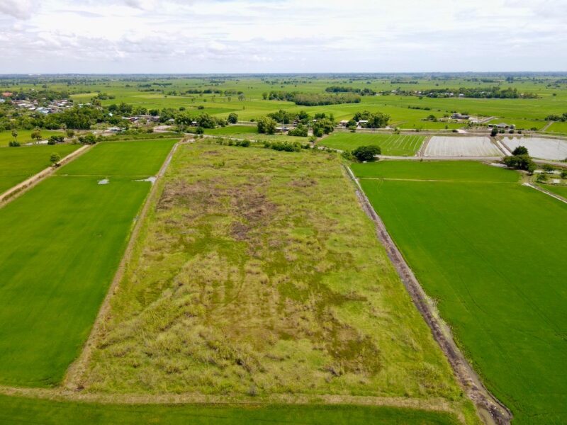 ขายที่ดินติดถนนลาดยาง แหล่งชุมชน ต.หรเทพ อ.บ้านหมอ จ.สระบุรี