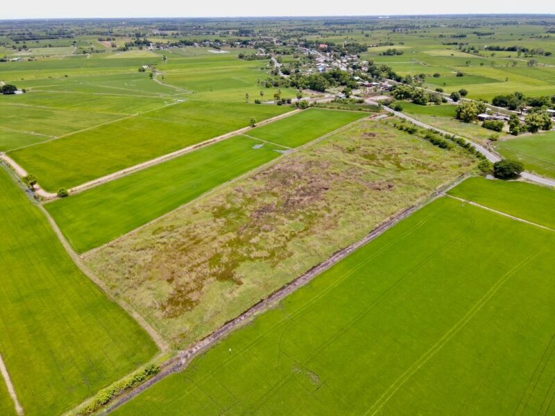 ขายที่ดินติดถนนลาดยาง แหล่งชุมชน ต.หรเทพ อ.บ้านหมอ จ.สระบุรี