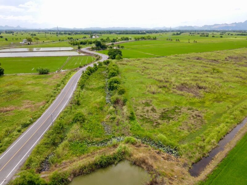 ขายที่ดินติดถนนลาดยาง แหล่งชุมชน ต.หรเทพ อ.บ้านหมอ จ.สระบุรี