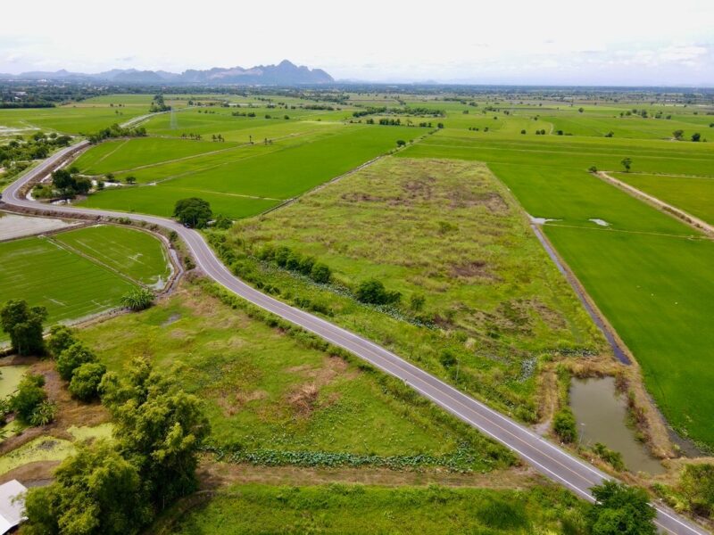 ขายที่ดินติดถนนลาดยาง แหล่งชุมชน ต.หรเทพ อ.บ้านหมอ จ.สระบุรี