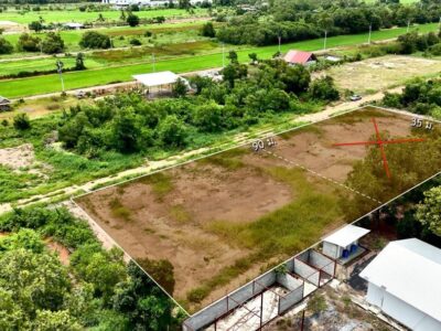 ขายที่ดินแปลงสวย คลองหก คลองหลวง ซอย 65/1