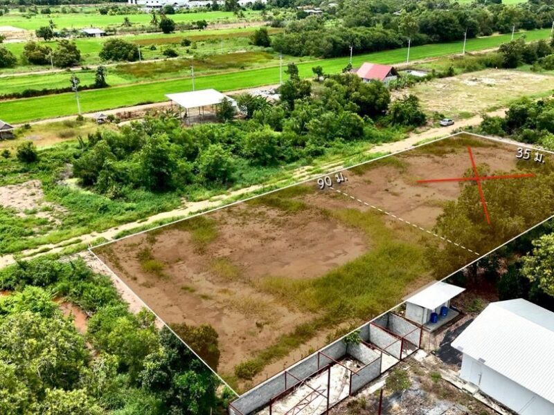 ขายที่ดินแปลงสวย คลองหก คลองหลวง ซอย 65/1