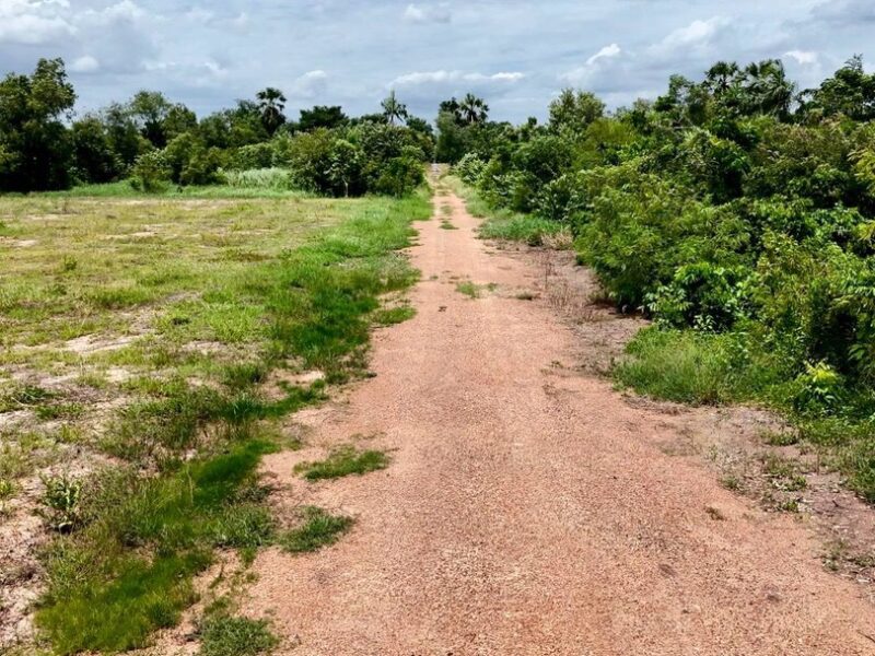 ขายที่ดินแปลงสวย คลองหก คลองหลวง ซอย 65/1