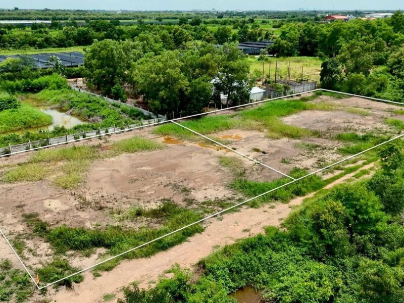 ขายที่ดินแปลงสวย คลองหก คลองหลวง ซอย 65/1