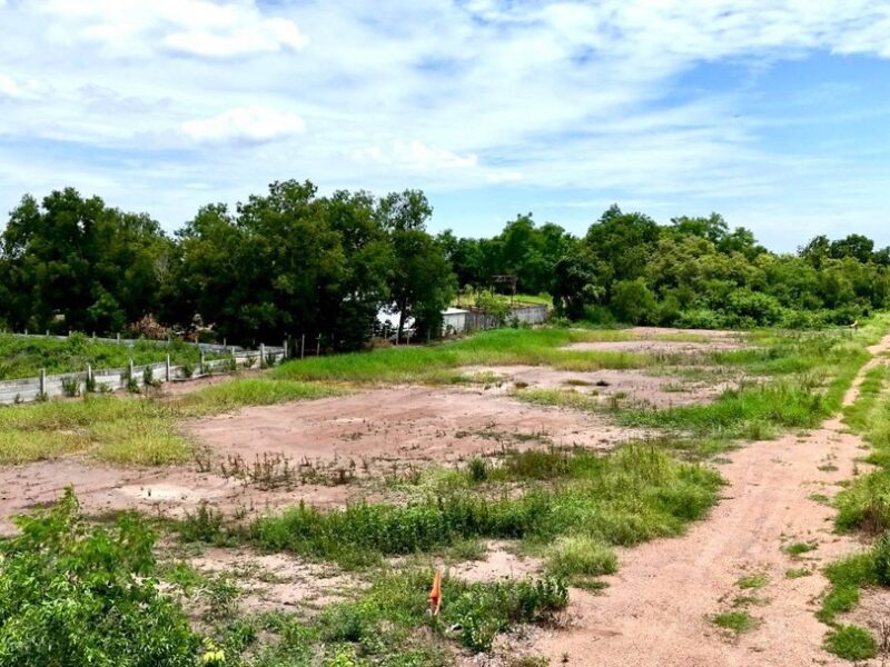 ขายที่ดินแปลงสวย คลองหก คลองหลวง ซอย 65/1