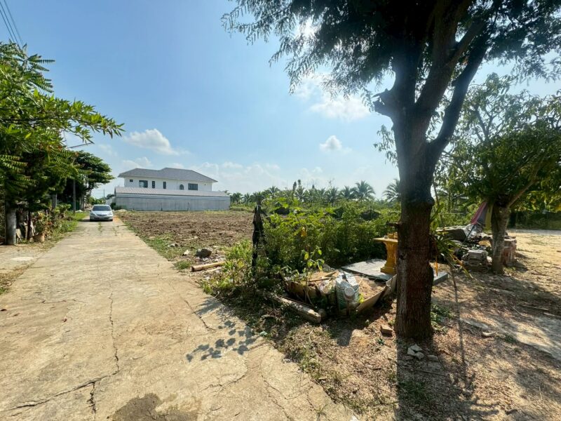 ประกาศขายที่ดิน ต.หนองช้างคืน อ.เมือง จ.ลำพูน