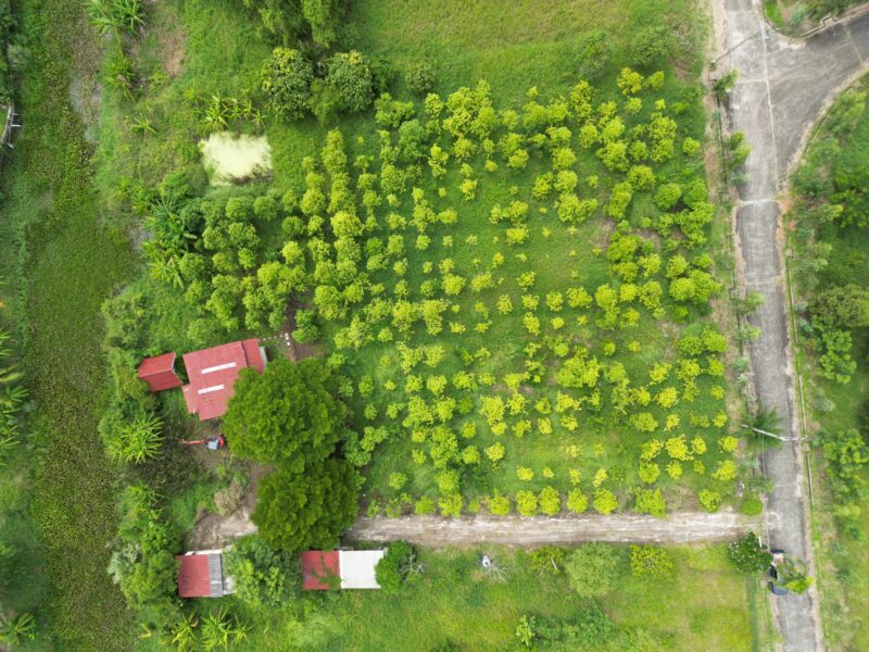 ที่ดินหนองจอก เนื้อที่ 2ไร่ ติดคลองธรรมชาติ