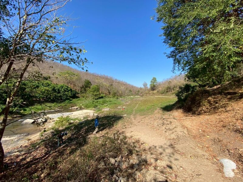 ประกาศขายที่ดิน วิวธรรมชาติใกล้น้ำตกแม่ยะ อำเภอจอมทอง จังหวัดเชียงใหม่