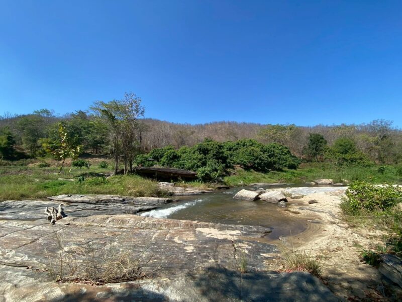 ประกาศขายที่ดิน วิวธรรมชาติใกล้น้ำตกแม่ยะ อำเภอจอมทอง จังหวัดเชียงใหม่