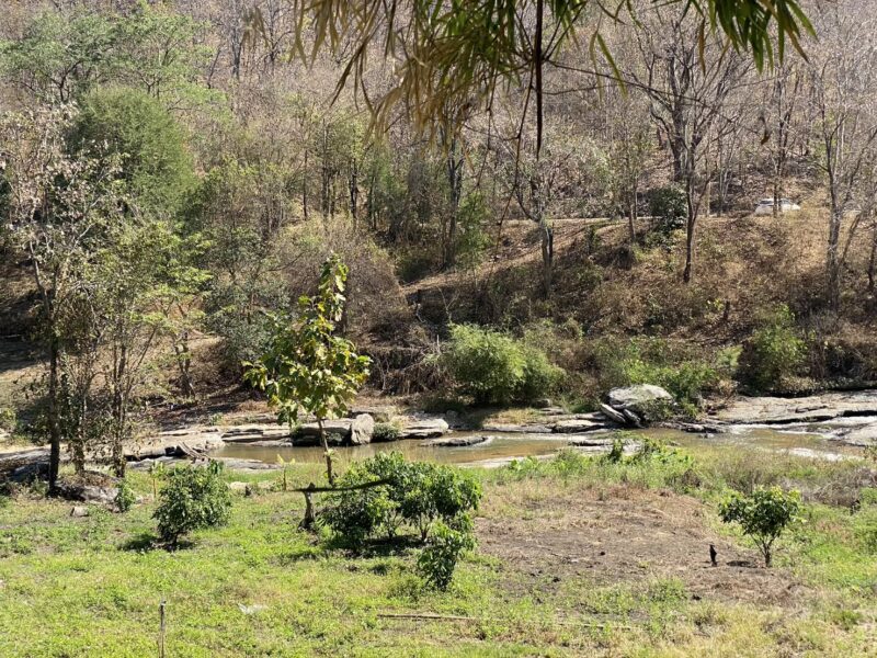ประกาศขายที่ดิน วิวธรรมชาติใกล้น้ำตกแม่ยะ อำเภอจอมทอง จังหวัดเชียงใหม่