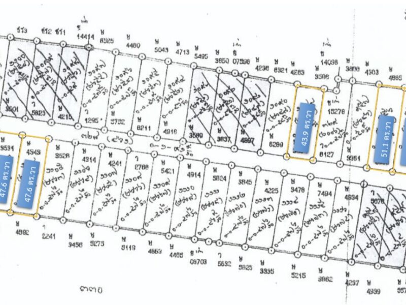 ประกาศขายที่ดิน ต.หนองช้างคืน อ.เมือง จ.ลำพูน