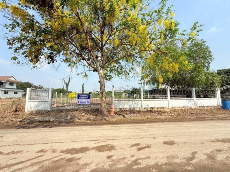 ขายด่วนที่ดินซอยโรงพยาบาลลาดหลุมแก้ว 200 ตรว ติดถนนลาดยางสาธารณะ ถมแล้ว ถ.เทศบาล 2 จ.ปทุมธานี