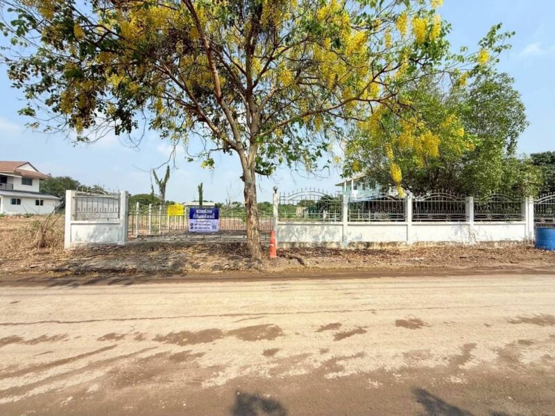 ขายด่วนที่ดินซอยโรงพยาบาลลาดหลุมแก้ว 200 ตรว ติดถนนลาดยางสาธารณะ ถมแล้ว ถ.เทศบาล 2 จ.ปทุมธานี