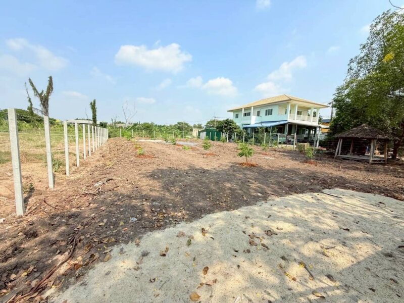 ขายด่วนที่ดินซอยโรงพยาบาลลาดหลุมแก้ว 200 ตรว ติดถนนลาดยางสาธารณะ ถมแล้ว ถ.เทศบาล 2 จ.ปทุมธานี