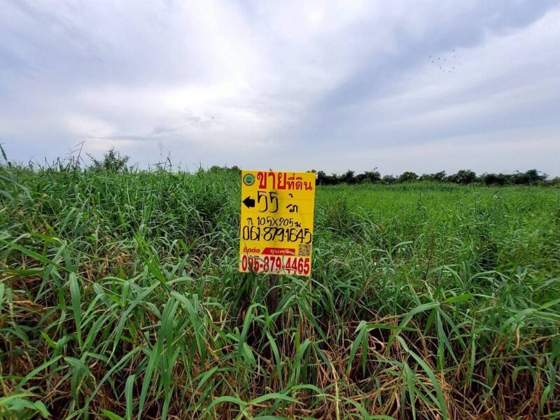 ขายที่ดินวิวคลองสร้างบ้านสวน 55 ตรว แปลงมุม ติดถนนคอนกรีต ถมแล้ว บ้านสวนเพิ่มสุข อ.หนองเสือ จ.ปทุมธานี