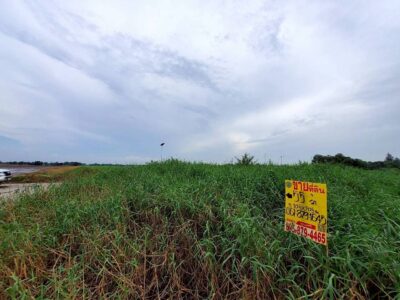 ขายที่ดินวิวคลองสร้างบ้านสวน 55 ตรว แปลงมุม ติดถนนคอนกรีต ถมแล้ว บ้านสวนเพิ่มสุข อ.หนองเสือ จ.ปทุมธานี