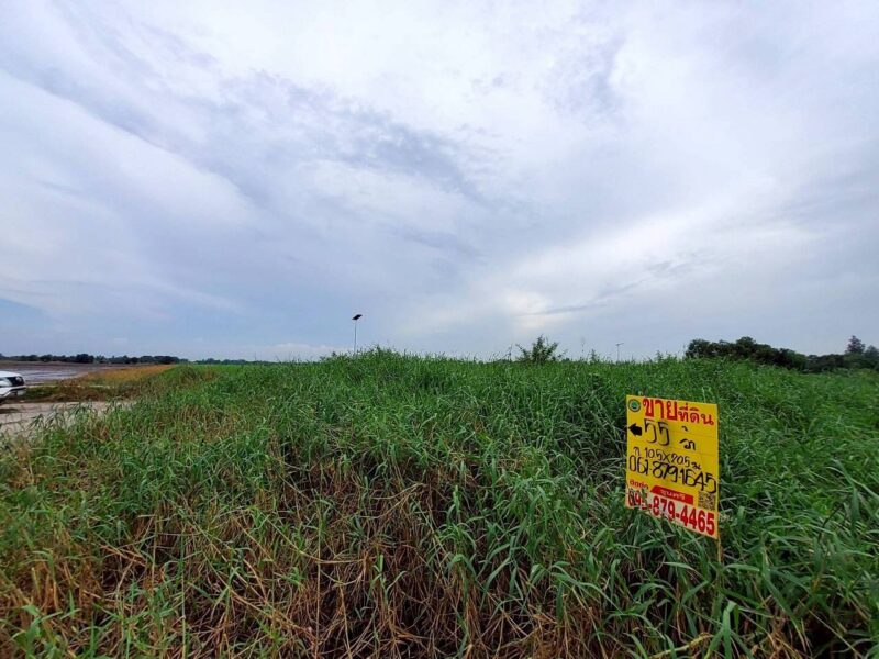 ขายที่ดินวิวคลองสร้างบ้านสวน 55 ตรว แปลงมุม ติดถนนคอนกรีต ถมแล้ว บ้านสวนเพิ่มสุข อ.หนองเสือ จ.ปทุมธานี
