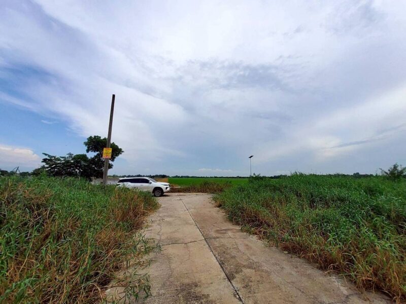 ขายที่ดินวิวคลองสร้างบ้านสวน 55 ตรว แปลงมุม ติดถนนคอนกรีต ถมแล้ว บ้านสวนเพิ่มสุข อ.หนองเสือ จ.ปทุมธานี