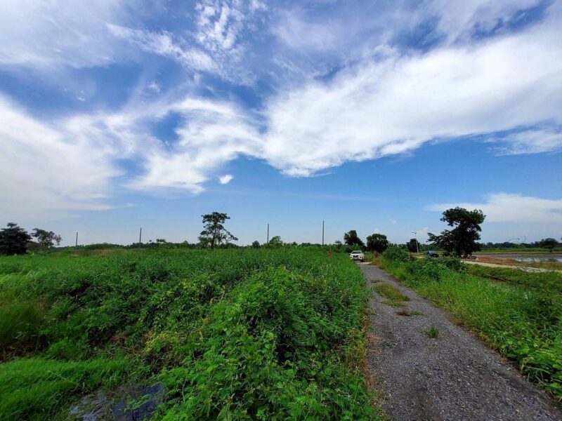 ขายที่ดินวิวคลองสร้างบ้านสวน 55 ตรว แปลงมุม ติดถนนคอนกรีต ถมแล้ว บ้านสวนเพิ่มสุข อ.หนองเสือ จ.ปทุมธานี