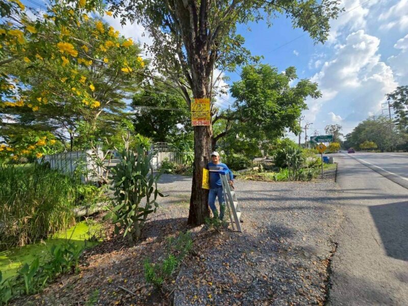 ขายด่วนที่ดินติดถนนประชาสำราญ 273 ตรว ทำลดี มีอนาคต เขตหนองจอก กทม.