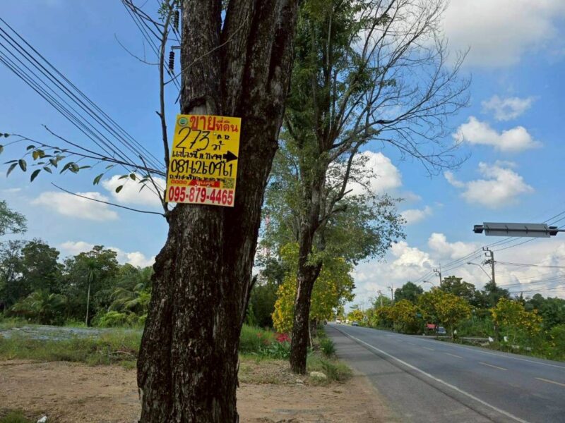 ขายด่วนที่ดินติดถนนประชาสำราญ 273 ตรว ทำลดี มีอนาคต เขตหนองจอก กทม.