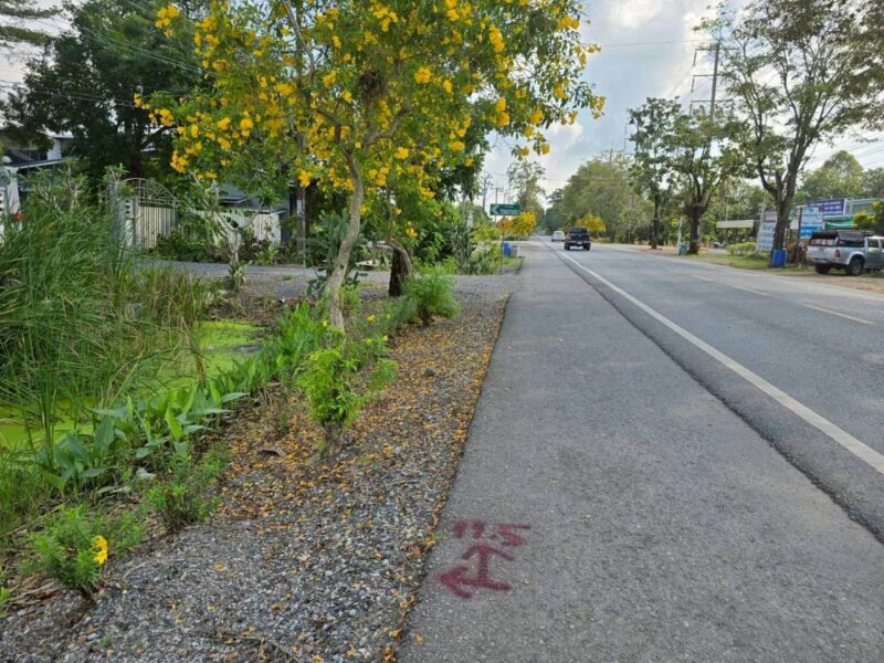 ขายด่วนที่ดินติดถนนประชาสำราญ 273 ตรว ทำลดี มีอนาคต เขตหนองจอก กทม.