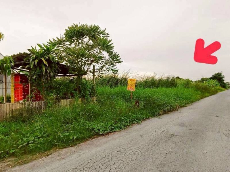 ขายที่ดินคลองเก้าธัญบุรี 140 ตรว(แบ่งได้) ติดถนนลาดยางสาธารณะ ซ. รพ.ส่งเสริมสุขภาพลำผักกูด จ.ปทุมธานี