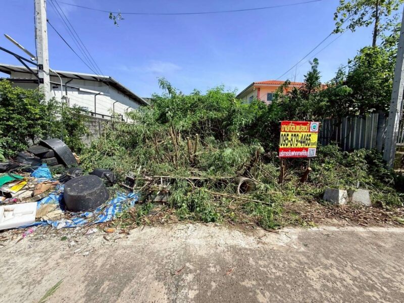 ขายถูกที่ดินตำบลศาลากลาง 84 ตรว ติดถนนคอนกรีต ถมแล้วบางส่วน ซ.นุ่มประสงค์ 1 อ.บางกรวย จ.นนทบุรี