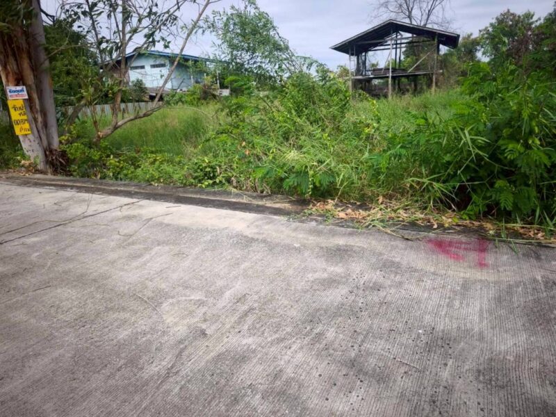 ขายถูกที่ดินซอยวัดไพร่ฟ้า 128 ตรว ติดถนนคอนกรีตสาธารณะ เลียบคลองบางเดื่อ 8 เมืองปทุมธานี