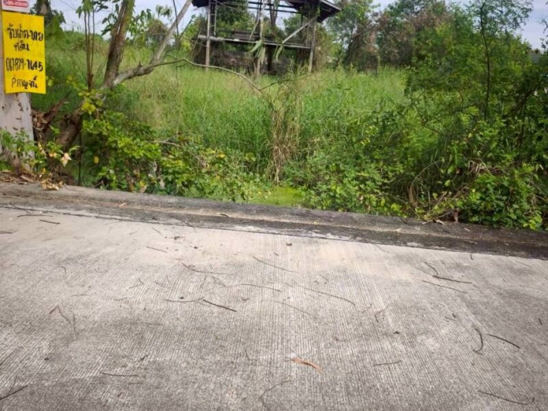 ขายถูกที่ดินซอยวัดไพร่ฟ้า 128 ตรว ติดถนนคอนกรีตสาธารณะ เลียบคลองบางเดื่อ 8 เมืองปทุมธานี