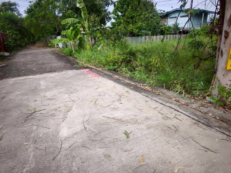 ขายถูกที่ดินซอยวัดไพร่ฟ้า 128 ตรว ติดถนนคอนกรีตสาธารณะ เลียบคลองบางเดื่อ 8 เมืองปทุมธานี