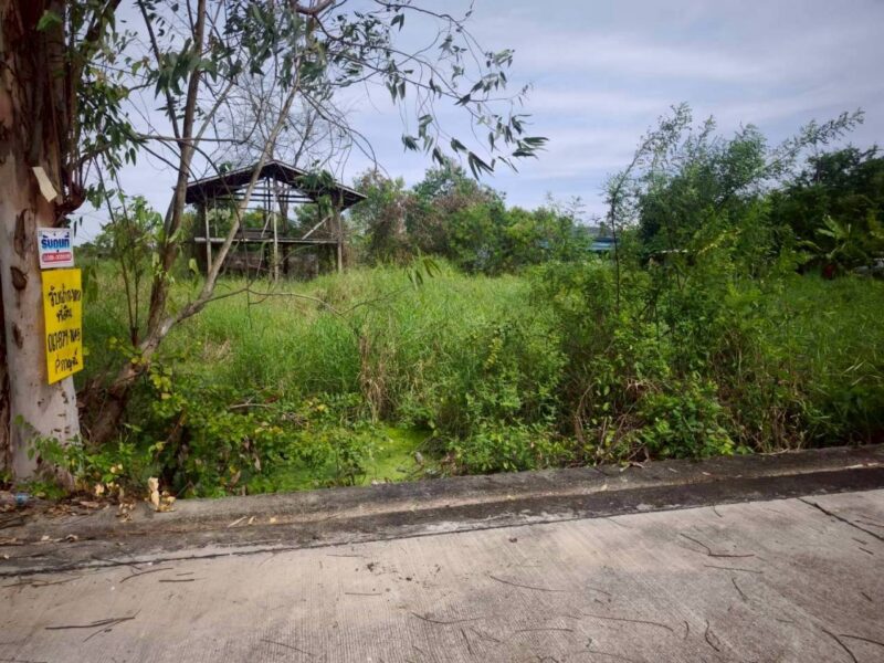 ขายถูกที่ดินซอยวัดไพร่ฟ้า 128 ตรว ติดถนนคอนกรีตสาธารณะ เลียบคลองบางเดื่อ 8 เมืองปทุมธานี