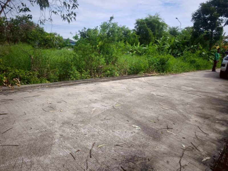 ขายถูกที่ดินซอยวัดไพร่ฟ้า 128 ตรว ติดถนนคอนกรีตสาธารณะ เลียบคลองบางเดื่อ 8 เมืองปทุมธานี