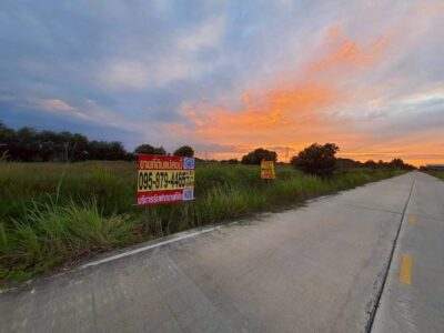 ขายถูกที่ดินเทศบาลหนองเสือ 5 ไร่ ติดถนนคอนกรีตสาธารณะ หน้ากว้าง 170 ม. ซ.เทศบาล 12 จ.ปทุมธานี