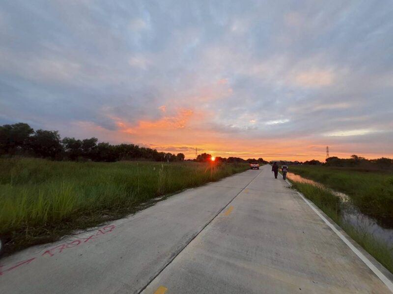 ขายถูกที่ดินเทศบาลหนองเสือ 5 ไร่ ติดถนนคอนกรีตสาธารณะ หน้ากว้าง 170 ม. ซ.เทศบาล 12 จ.ปทุมธานี