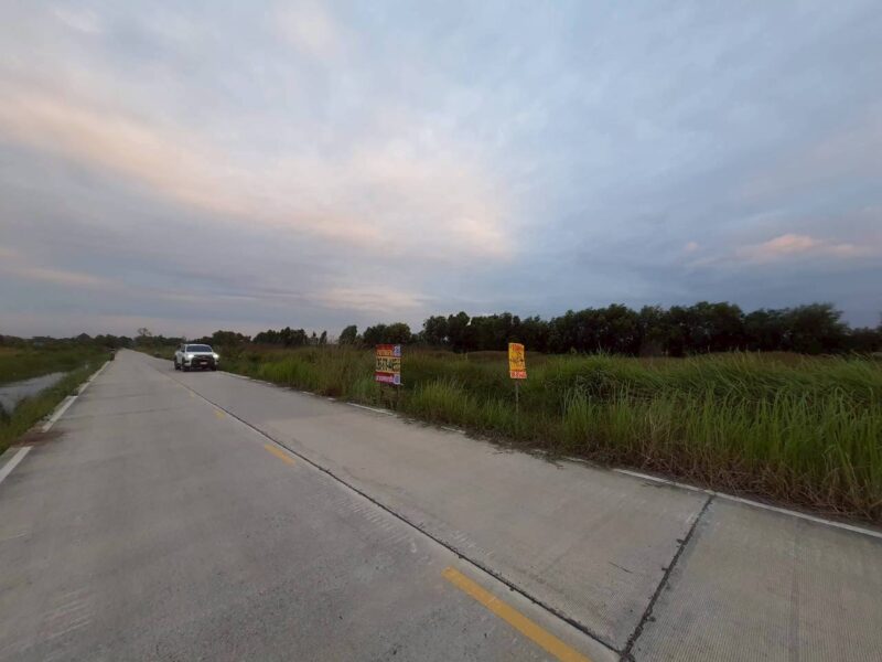 ขายถูกที่ดินเทศบาลหนองเสือ 5 ไร่ ติดถนนคอนกรีตสาธารณะ หน้ากว้าง 170 ม. ซ.เทศบาล 12 จ.ปทุมธานี