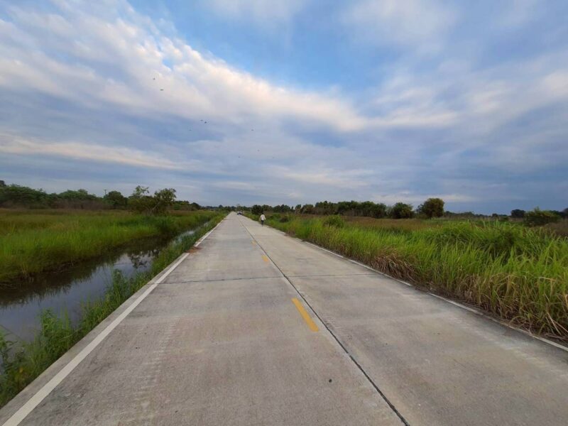 ขายถูกที่ดินเทศบาลหนองเสือ 5 ไร่ ติดถนนคอนกรีตสาธารณะ หน้ากว้าง 170 ม. ซ.เทศบาล 12 จ.ปทุมธานี