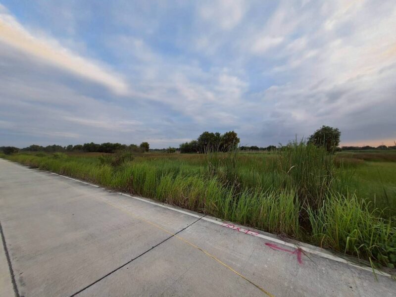 ขายถูกที่ดินเทศบาลหนองเสือ 5 ไร่ ติดถนนคอนกรีตสาธารณะ หน้ากว้าง 170 ม. ซ.เทศบาล 12 จ.ปทุมธานี