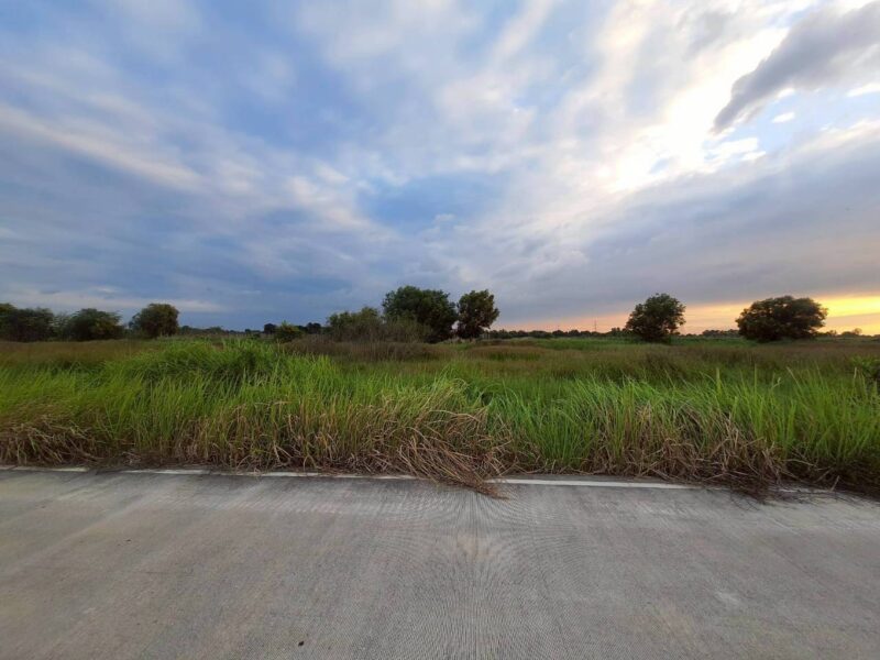 ขายถูกที่ดินเทศบาลหนองเสือ 5 ไร่ ติดถนนคอนกรีตสาธารณะ หน้ากว้าง 170 ม. ซ.เทศบาล 12 จ.ปทุมธานี