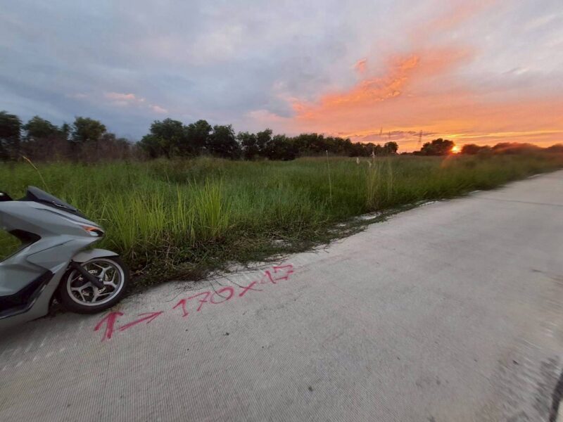 ขายถูกที่ดินเทศบาลหนองเสือ 5 ไร่ ติดถนนคอนกรีตสาธารณะ หน้ากว้าง 170 ม. ซ.เทศบาล 12 จ.ปทุมธานี