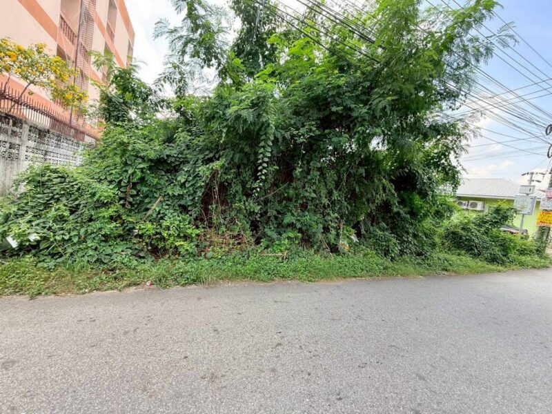 ขายด่วนที่ดิน 108 ตรว ติดถนนคอนกรีตสาธารณะ ซ.รามอินทรา 65 แยก 2-2-10 เขตบางกะปิ กทม.