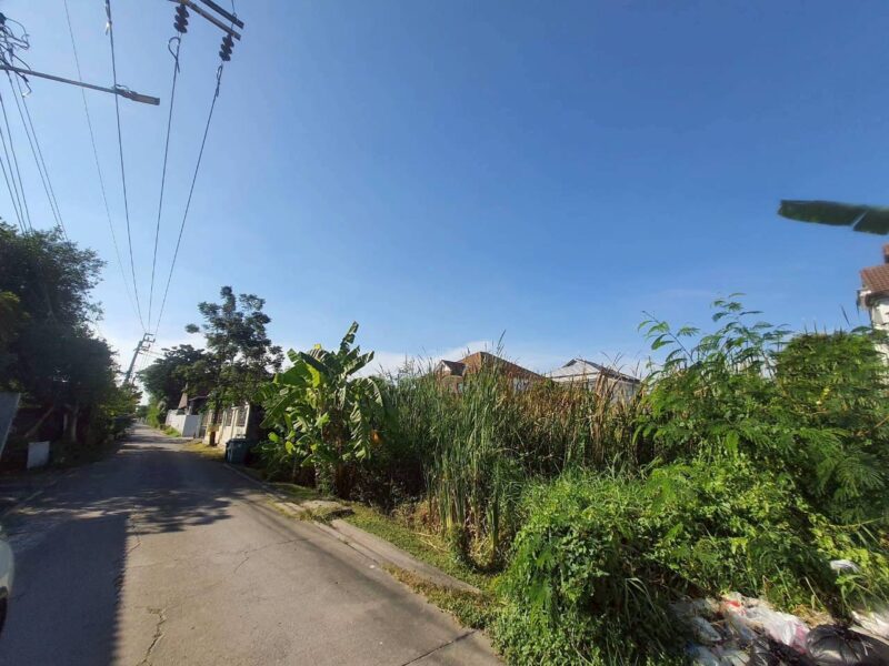 ขายถูกที่ดินสุขาภิบาล 5 เนื้อที่ 199 ตรว ติดถนนคอนกรีตสาธารณะ ซ.5 แยก 22 กทม.