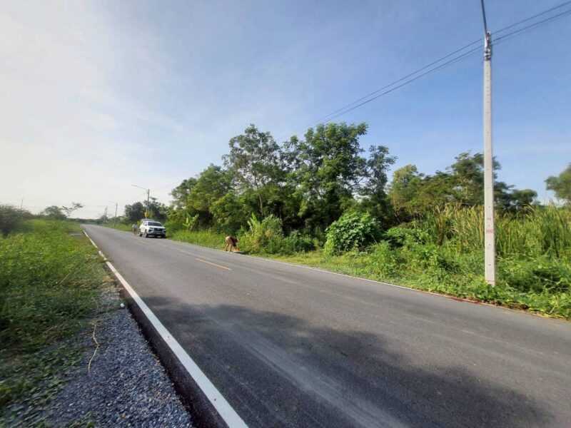 ขายถูกที่ดินใกล้คลังบิ๊กซีคลองหก 2 ไร่ ติดถนนลาดยางสาธารณะ ถ.ธัญบุรี-วังน้อย อ.คลองหลวง จ.ปทุมธานี