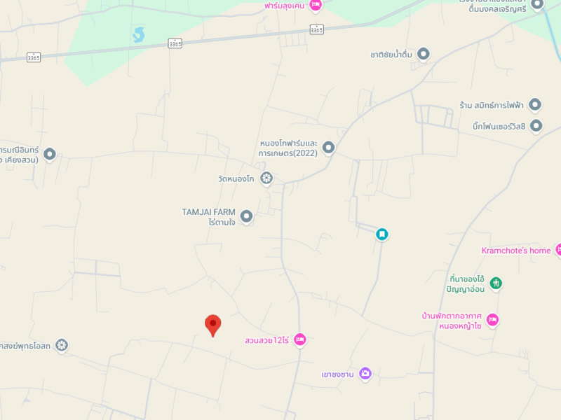 ที่ดินทำเลดี 12 ไร่ อำเภอหนองหญ้าไซ สุพรรณบุรี เหมาะสำหรับสร้างบ้านสวน/ทำการเกษตร พร้อมอยู่!