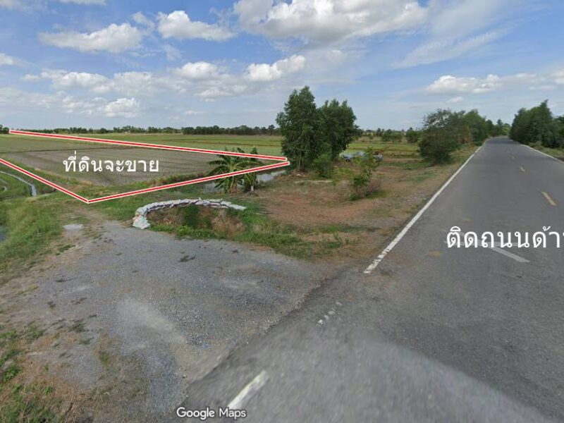 วนัสนันท์